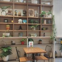  at Avocado in Barcelona