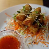 Spring rolls at Simple Green in Zagreb