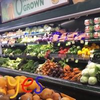 Organically grown at Tri County Produce in Santa Barbara