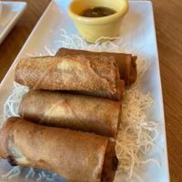 Spring Rolls at Kati Vegan Thai in Seattle