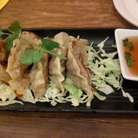 Potstickers at Kati Vegan Thai in Seattle