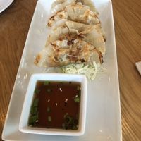 House-made pot stickers at Kati Vegan Thai in Seattle