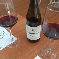 Vin vegan pedrera at Pistatxo in Murcia