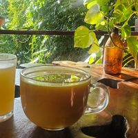 Hugo y Leche Dorado at Con.Siente de LULU La Bruja in Bacalar