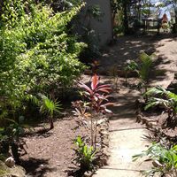  at Con.Siente de LULU La Bruja in Bacalar