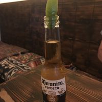 Coronita  at Guaka in Faro