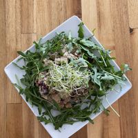 “Chicken” Waldorf salad  at Neighborhood Joe in St Petersburg