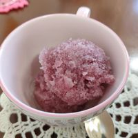 Grape sherbet (sorbet) at Cafe Douce in Hakone