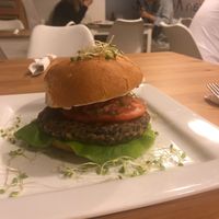 Yammi at Vgan Kitchen in Miami