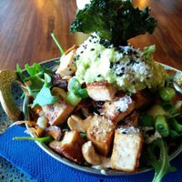 Thai Rainbow Salad (warm) with grilled tofu-tempeh cubes at Forest Eats in Kiama