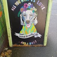  at Crocus Cafe in Nottingham