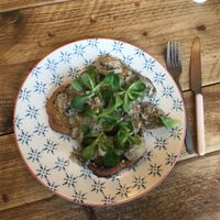 Mushrooms in cashew cream on chunky toast (vegan) at Crocus Cafe in Nottingham