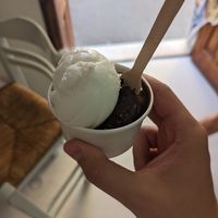 Dark chocolate and lemon sorbet at Royo in Rhodes