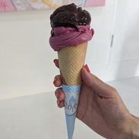 Dark chocolate and pomegranate & berry sorbet at Royo in Rhodes
