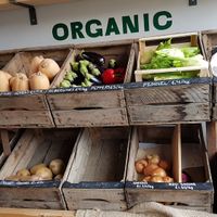 Organic veg at Lior's Kitchen at Tierra Verde in South West London