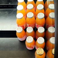 Apple cider at Timeless Coffee Roasters and Bakery in Berkeley