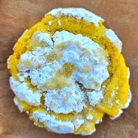 Lemon crinkle cookie at Timeless Coffee Roasters and Bakery in Berkeley