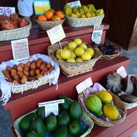 Fruits on display at The South Kona Fruit Stand in Captain Cook
