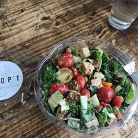 Take-out salad at Plum Chopped in Seattle