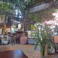  at Crumbs in Phnom Penh