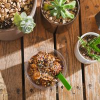 Yummy acai bowls at Revel - Kombucha Bar in Ojai