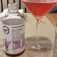 Kombucha at Gaudi&Naan in Ljubljana