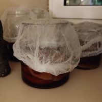 Kombucha brewing with fruitflies around it at Gaudi&Naan in Ljubljana