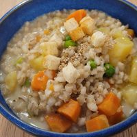 Vegan Ričet - barley soup at Gaudi&Naan in Ljubljana