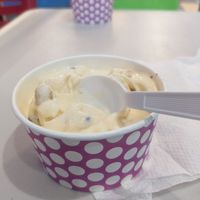 Vegan cookie dough at Brendy's Ice Cream & Yogurt - 2nd Ave in Delray Beach