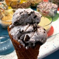 Cookies and cream coconut based  at Brendy's Ice Cream & Yogurt - 2nd Ave in Delray Beach
