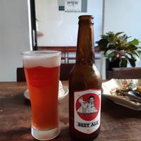 Beetroot beer, lovely dessert ale! at ROM Vegetarian Restaurant in Da Nang