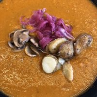   at Daily Pot in Bergen