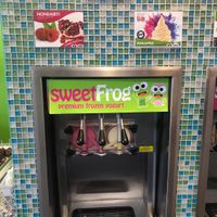 Vegan options at Sweet Frog in Bangor