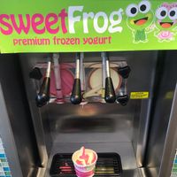 Vegan with a twist at Sweet Frog in Bangor
