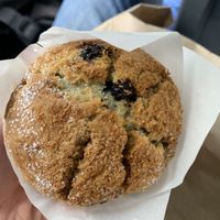 Epic muffins!  at Watson's Eatery in Dunedin