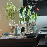 Interior (cute shot)  at Mudan Tearoom and Eatery in Tauranga