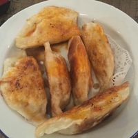 Fried dumplings  at Mudan Tearoom and Eatery in Tauranga