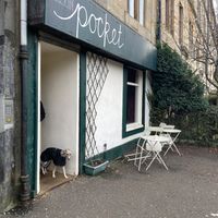 Nice dog   at The Kelvin Pocket in Glasgow