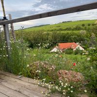 Ausblick  at Weingut Trautwein - Restaurant & Hotel in Flonheim