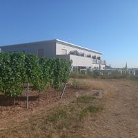  at Weingut Trautwein - Restaurant & Hotel in Flonheim