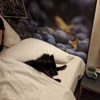 Hundefreundlich at Weingut Trautwein - Restaurant & Hotel in Flonheim