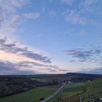 Aussicht at Weingut Trautwein - Restaurant & Hotel in Flonheim