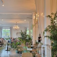 Plants and air made the dining room feel lux at Weingut Trautwein - Restaurant & Hotel in Flonheim