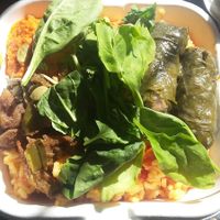 Tomato rice, vine leaves seeds, spinach and dip salad box at Shoe Tree Cafe in Newcastle Upon Tyne