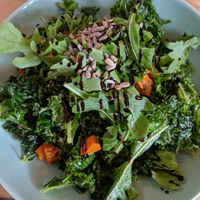 kale salad at Essential Vegan @ Ten to One Bar in North London