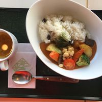 Vegan curry at Kaikoan Restaurant - Hasedera Temple in Kamakura