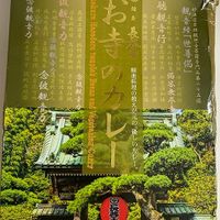 front of boxed curry at Kaikoan Restaurant - Hasedera Temple in Kamakura