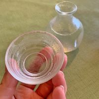 Sake at Kaikoan Restaurant - Hasedera Temple in Kamakura