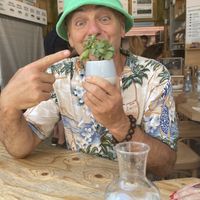 Plant based ✅💚💛  at LIIFE in Paris