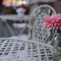 7 at La Donuteria in Bratislava